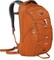 Osprey Axis Daypack